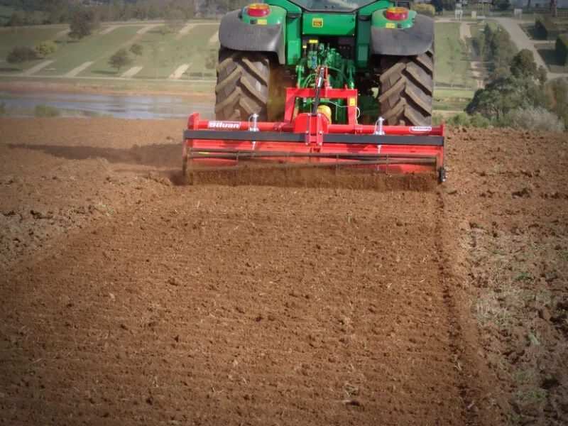 Maschio C jordfres