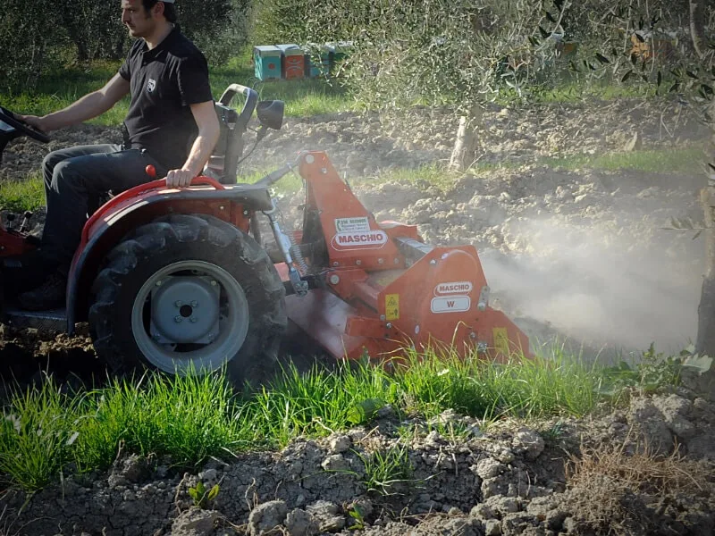 Maschio W jordfres